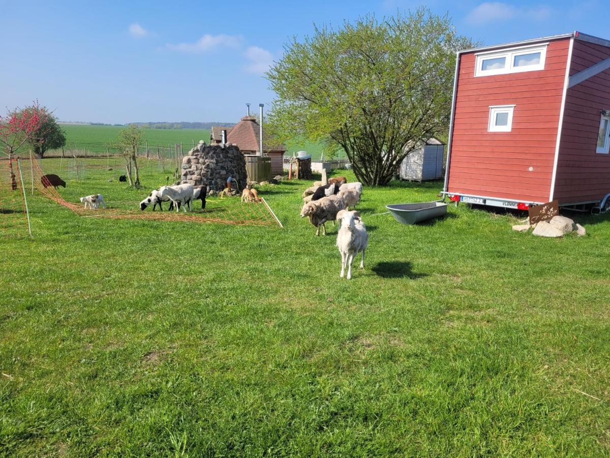 Tiny House Villa Schonbeck  ภายนอก รูปภาพ