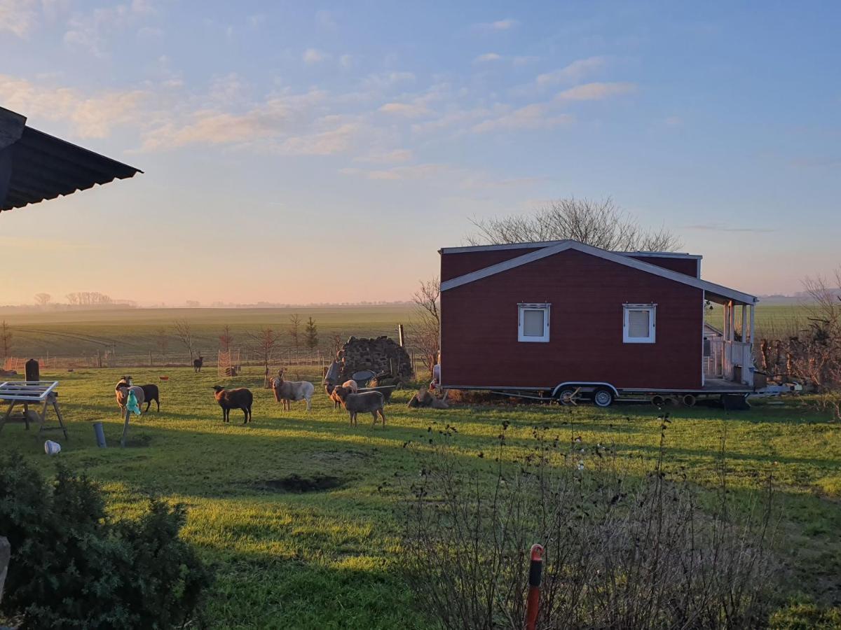 Tiny House Villa Schonbeck  ภายนอก รูปภาพ